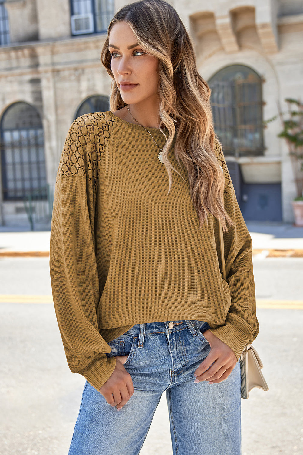 Chestnut Lace Long Sleeve Textured Pullover