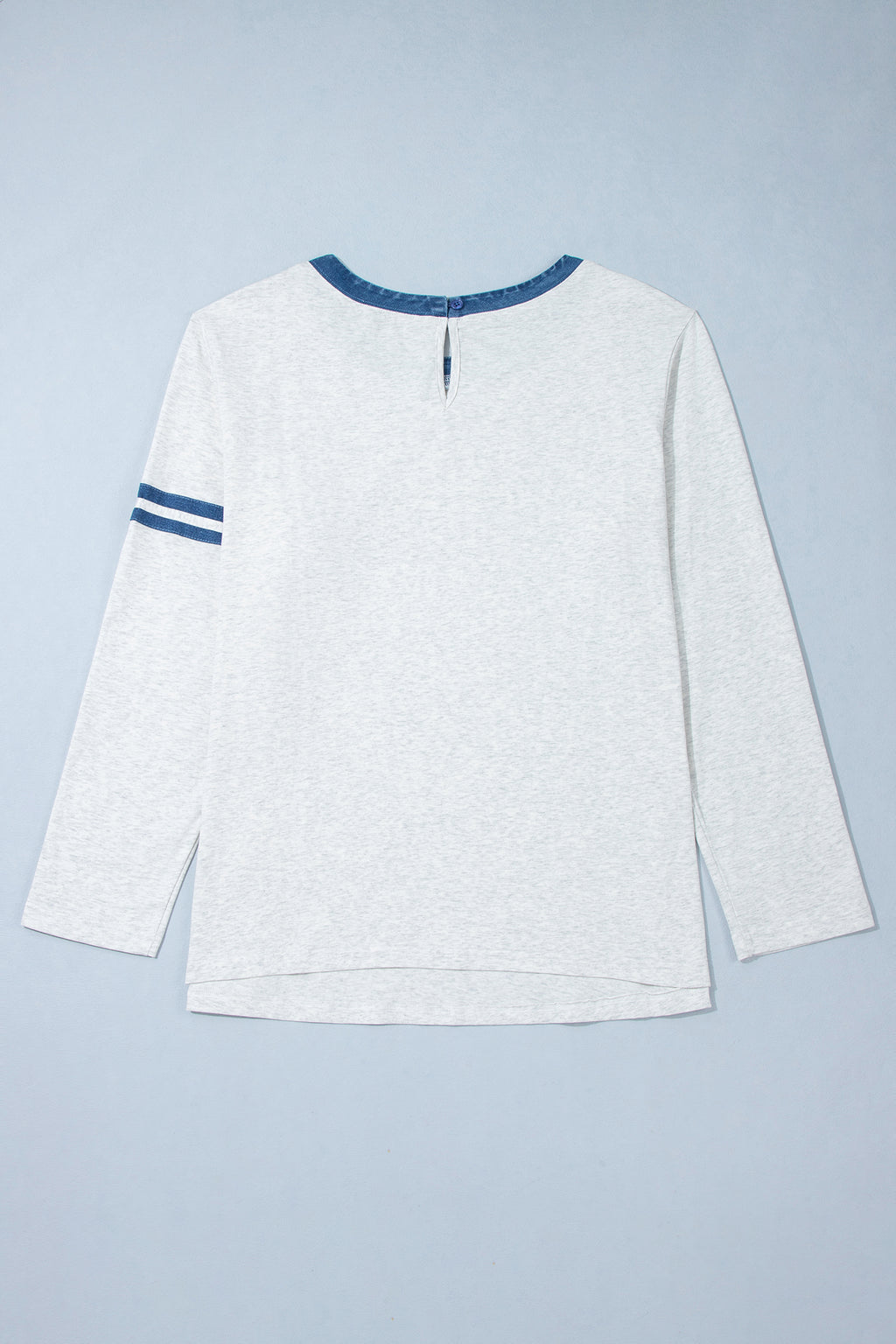 Gray Plus Size Colorblock Detail Round Neck Long Sleeve Top